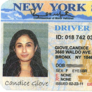 New nys driver